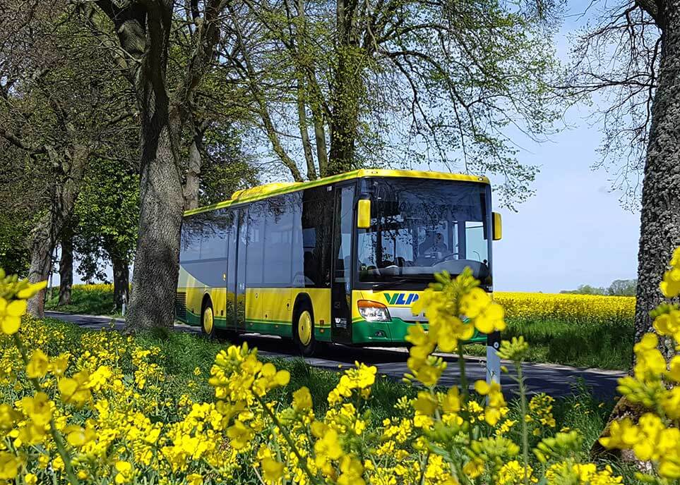 Bus im Rapsfeld